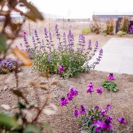 Ecohome Veer - Zeezand Recreatie * Stolpen