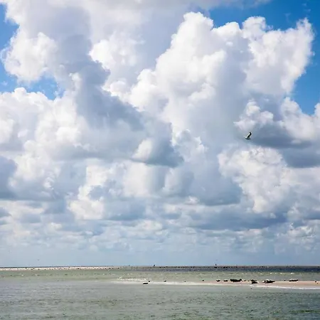 Ecohome Veer - Zeezand Recreatie