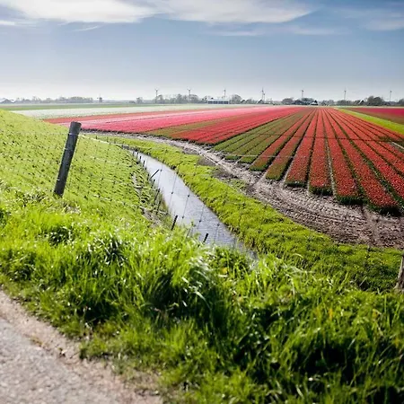 Ecohome Veer - Zeezand Recreatie Casa vacanze Stolpen